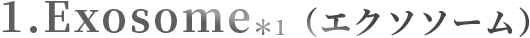 1.Exosome＊1（エクソソーム）